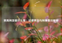 放高利贷是什么罪：法律界定与刑事责任解析