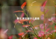 雾花,雾花是什么意思