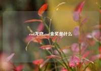 csol龙吻,csol金奖是什么