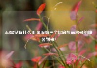 dnf黑钻有什么用,国服第三个比肩凯丽称号的神器到来?