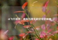  AR飞行游戏：虚拟与现实的空中交响曲