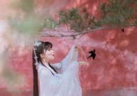 穿越火线手游秘籍