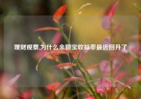 理财观察,为什么余额宝收益率最近回升了