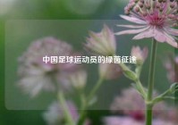 中国足球运动员的绿茵征途