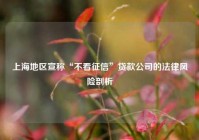上海地区宣称“不看征信”贷款公司的法律风险剖析