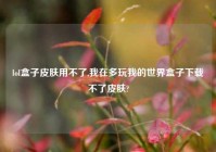 lol盒子皮肤用不了,我在多玩我的世界盒子下载不了皮肤?