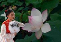 cf小号低价自动发卡网