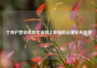 个体户营业执照年审网上申报的法律实务指引