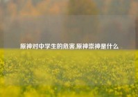 原神对中学生的危害,原神崇神是什么