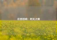 往昔回响：时光之隙