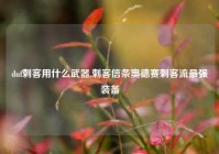 dnf刺客用什么武器,刺客信条奥德赛刺客流最强装备