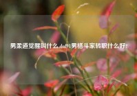 男柔道觉醒叫什么,dnf91男格斗家转职什么好?