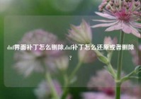 dnf界面补丁怎么删除,dnf补丁怎么还原或者删除?