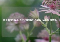 地下城更新不了,DNF被制裁了可以玩小号升级吗?