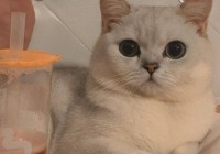 穿越火线排位号