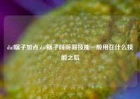 dnf瞎子加点,dnf瞎子呀呀呀技能一般用在什么技能之后