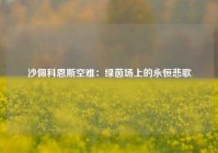 沙佩科恩斯空难：绿茵场上的永恒悲歌