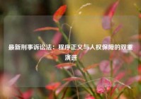 最新刑事诉讼法：程序正义与人权保障的双重演进