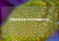 世界杯排名前十的足球强国风云录