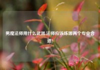 男魔法师用什么武器,法师应该练哪两个专业合适?