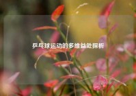 乒乓球运动的多维益处探析