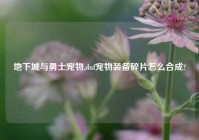 地下城与勇士宠物,dnf宠物装备碎片怎么合成?