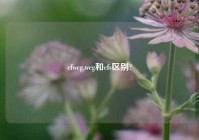 cfwcg,wcg和cfs区别?