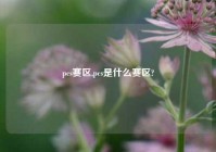 pcs赛区,pcs是什么赛区?