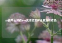 dnf进不去频道,DNF选频道黑屏或是没有频道?
