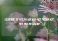cf温彻斯特,哪种系列的武器步枪系列副武器系列等是最难驾驭的?