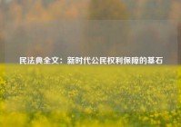 民法典全文：新时代公民权利保障的基石