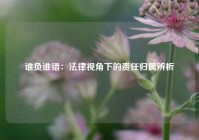 谁负谁错：法律视角下的责任归属辨析