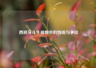  西班牙斗牛视频中的传统与争议
