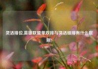 灵活排位,英雄联盟单双排与灵活组排有什么区别?