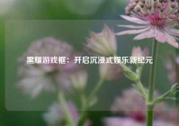 黑耀游戏框：开启沉浸式娱乐新纪元
