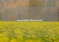 dungeonfighter,Dungeonraid