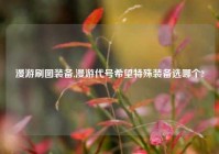 漫游刷图装备,漫游代号希望特殊装备选哪个?