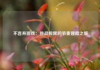  不言弃游戏：挑战极限的节奏冒险之旅