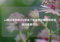 dnf格斗家转职,DNF中各个职业的觉醒名称和觉醒技能是什么?