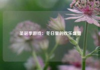 圣诞季游戏：冬日里的欢乐盛宴