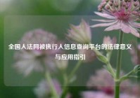 全国人法网被执行人信息查询平台的法律意义与应用指引