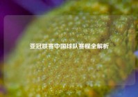 亚冠联赛中国球队赛程全解析