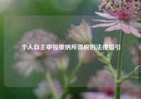 个人自主申报缴纳所得税的法律指引