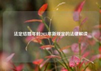 法定结婚年龄2021年新规定的法律解读