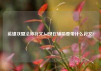 英雄联盟法师符文,lol现在辅助要带什么符文?