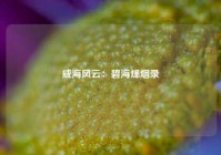 威海风云：碧海烽烟录