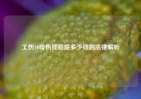工伤10级伤残赔偿多少钱的法律解析