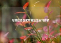 办理结婚登记所需法定材料详析