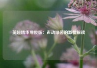 英超精华詹俊版：声动绿茵的激情解读