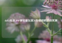 dnf51礼包,DNF体验服玩家20发缝纫机活动实测
